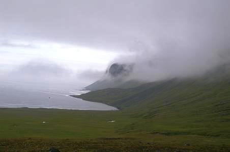 Svartasharoð