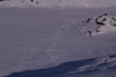 zwei Spuren im Schnee