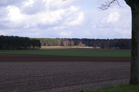 Auf dem Weg nach Dannenberg