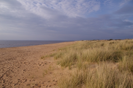 Der Strand in Mellbystrand