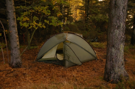 Zelt im Wald