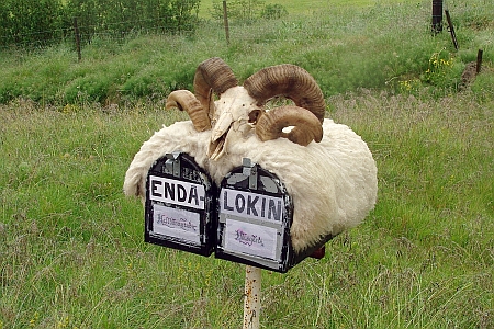 Briefkasten an der 821 Richtung Akureyri